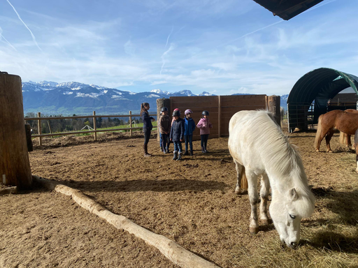 Reiten Lucy